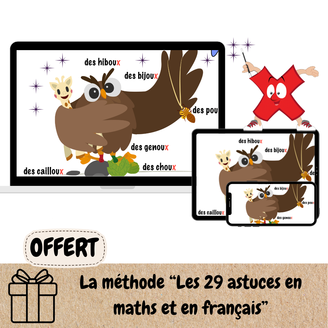 Le Pack français Multimalin (conjugaison du présent + conjugaison du passé + orthographe) au CANADA !