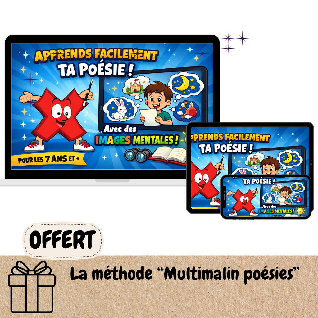 Le Pack français Multimalin (conjugaison du présent + conjugaison du passé + orthographe) au CANADA !